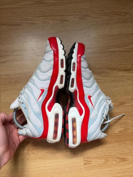 Nike air max plus university red