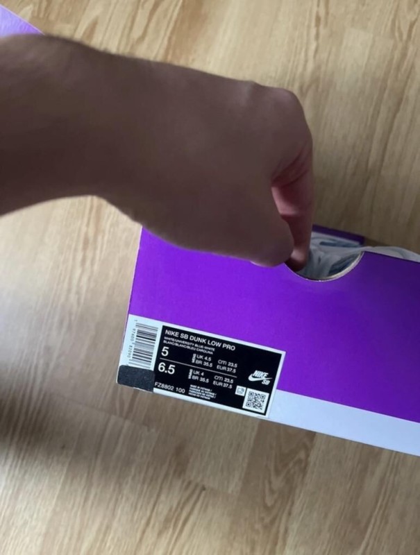 Nike sb Nicole Hause 2