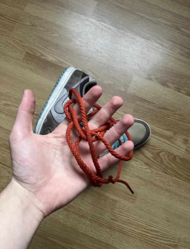 Nike dunk sb big money saving / bms 2