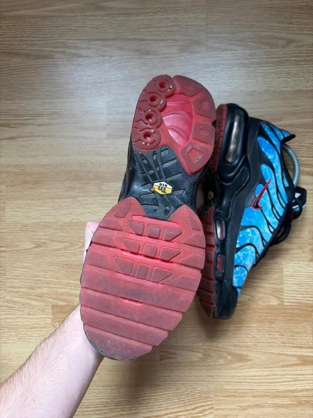 Nike air max plus shark