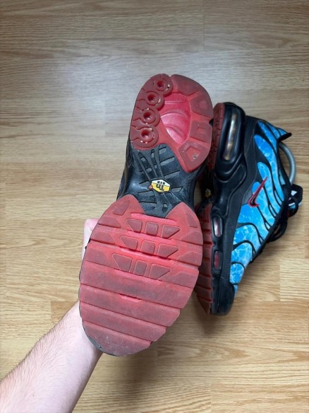 Nike air max plus shark