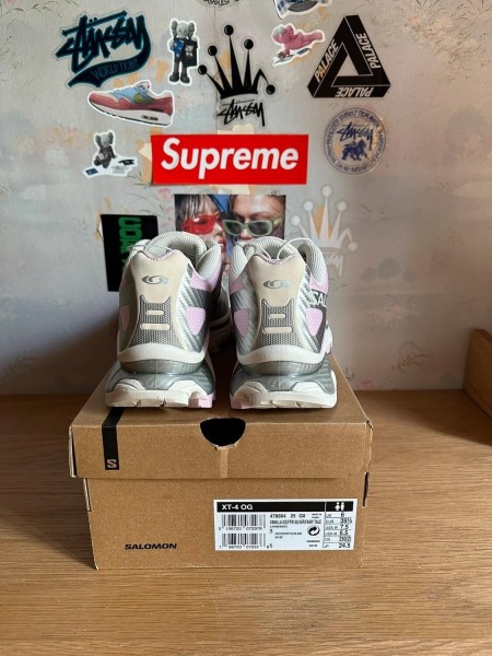 Salomon XT-4 pink silver / argent rose