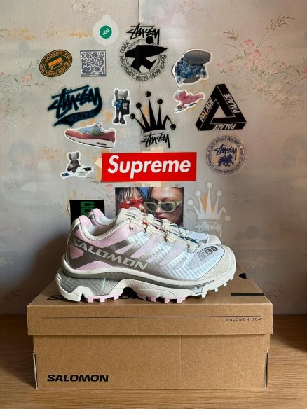 Salomon XT-4 pink silver / argent rose