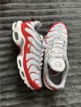 Nike Air Max Plus TN Grey Red Rouge Gris - 42,5