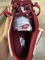 Nike Dunk Team Red