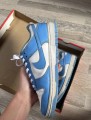 Nike Dunk unc