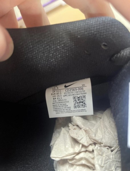 Dunk SB black gum