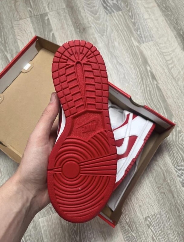 Nike Dunk Red reverse 2