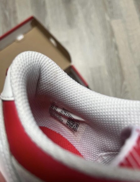 Nike Dunk Red reverse