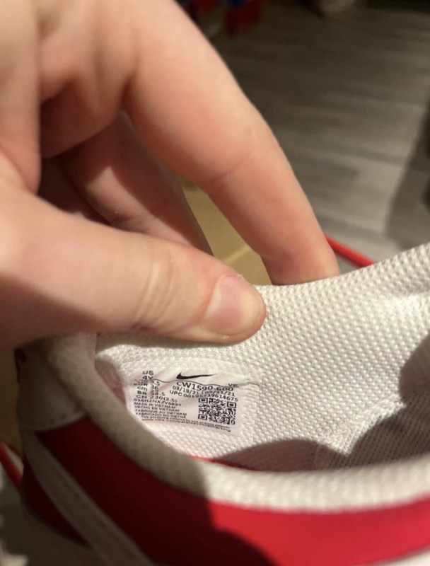 Nike Dunk Red reverse 2