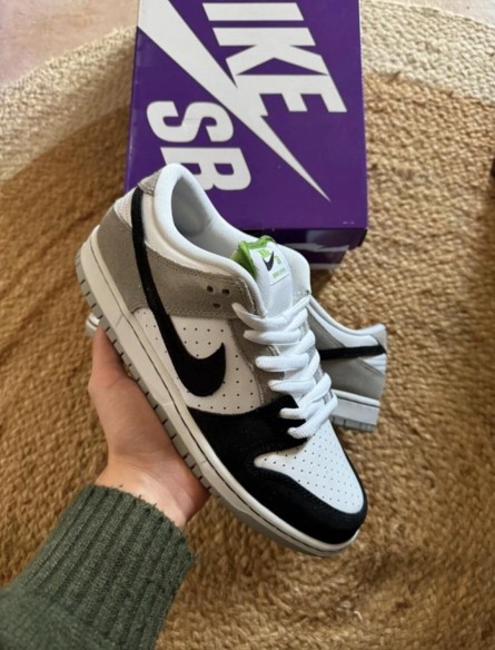 Nike Dunk SB Chlorophylle - Taille 41