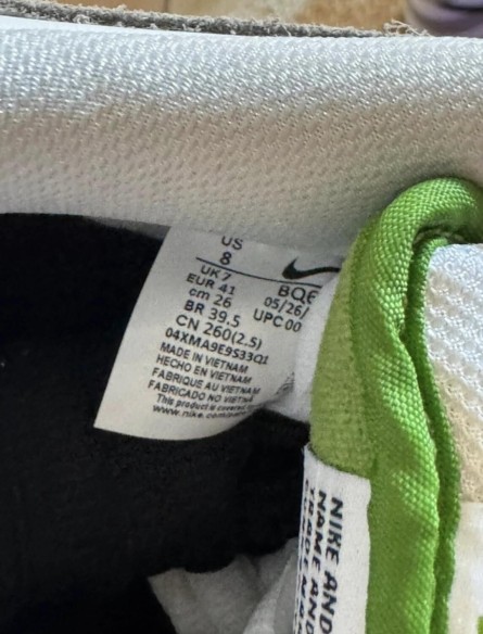 Nike Dunk SB Chlorophylle - Taille 41