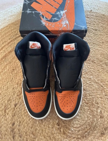 Air Jordan 1 Shattered Backboard - Taille 40