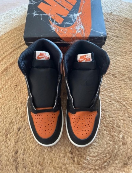 Air Jordan 1 Shattered Backboard - Taille 40