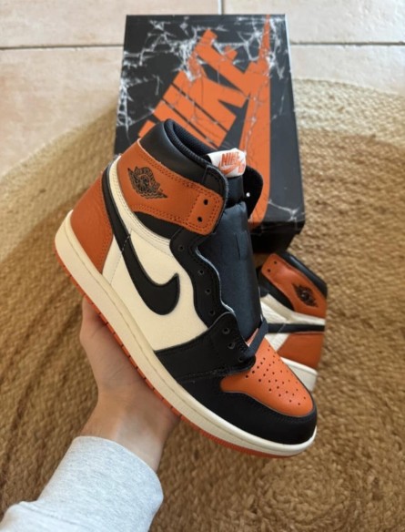 Air Jordan 1 Shattered Backboard - Taille 40,5