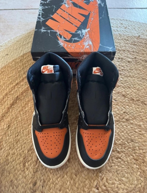 Air Jordan 1 Shattered Backboard - Taille 40,5 2