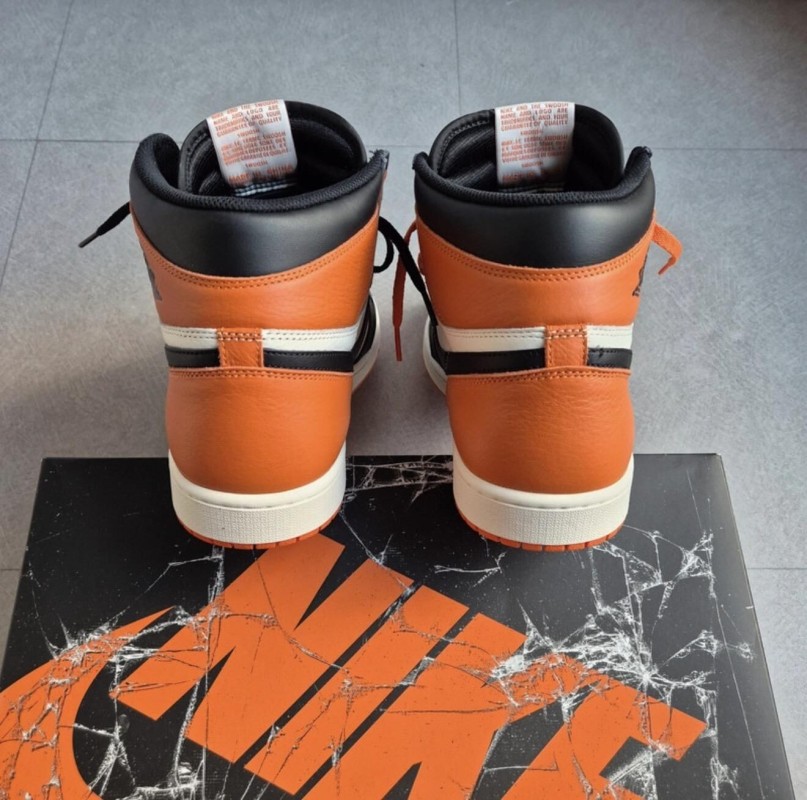 Jordan 1 "Shattered Backboard" 2