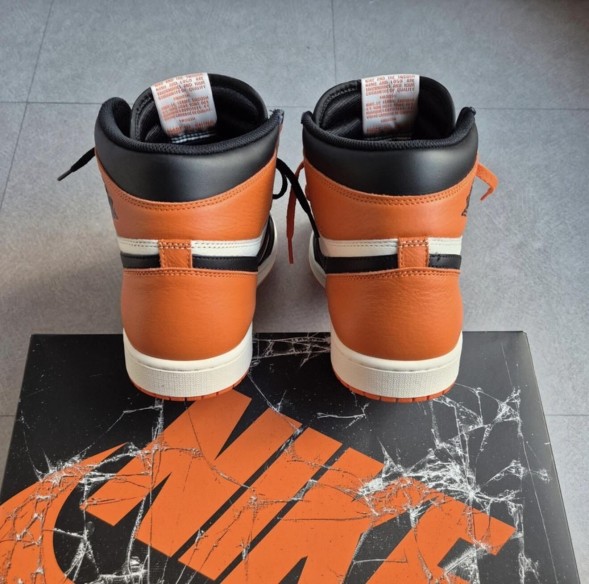 Jordan 1 "Shattered Backboard"