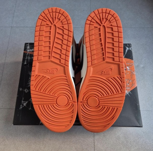 Jordan 1 "Shattered Backboard"