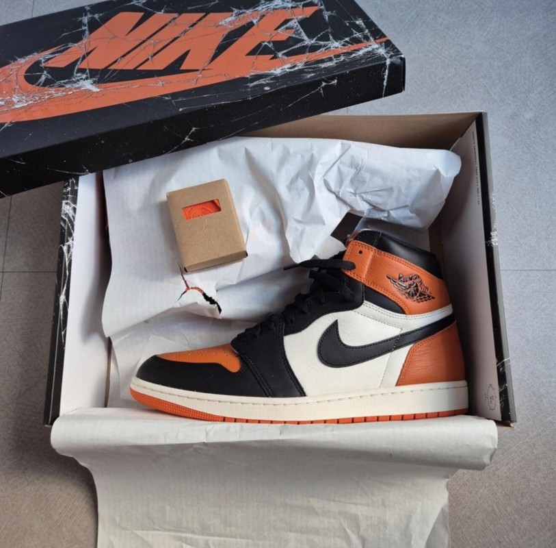 Jordan 1 "Shattered Backboard" 2