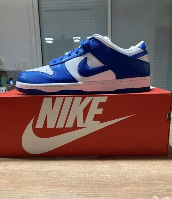 Dunk low kentucky taille 44 homme 2