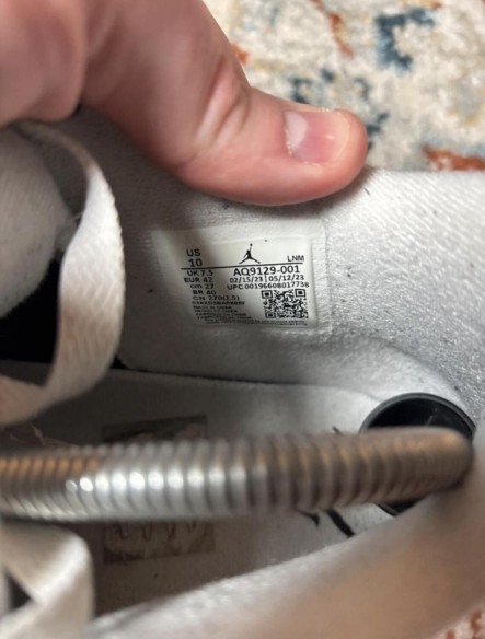 Air Jordan 4 Frozen
