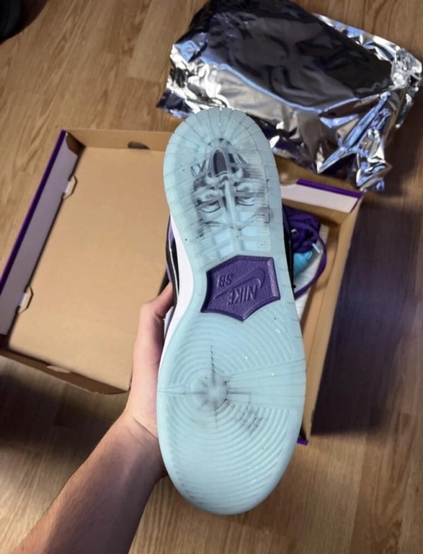 Nike sb hayley 2