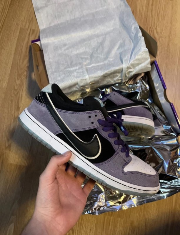 Nike sb hayley