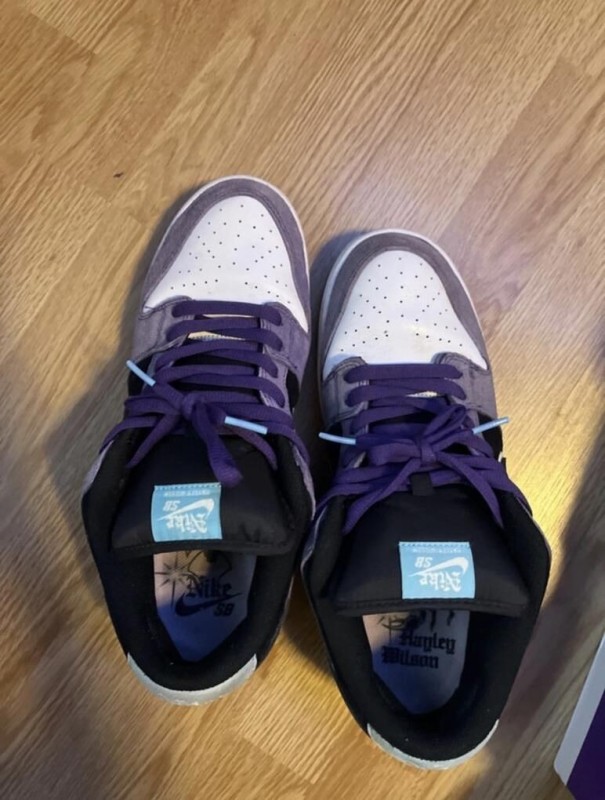Nike sb hayley 2
