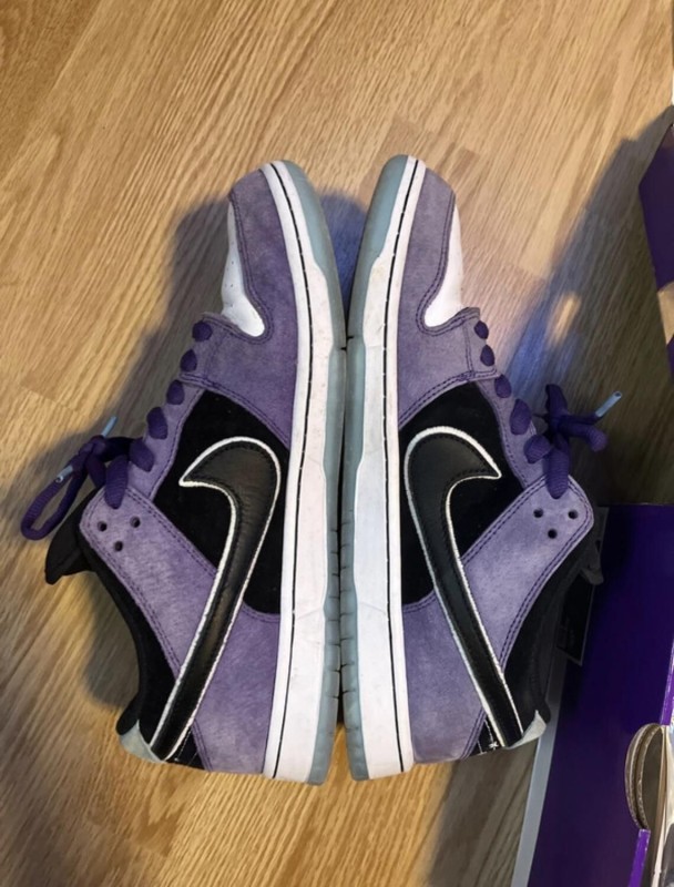 Nike sb hayley 2