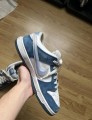 Nike dunk sb born x raised