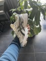 Asics gel - kayano