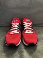 Nike air pegasus 34