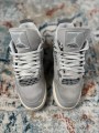 Air Jordan 4 Frozen