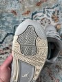 Air Jordan 4 Frozen