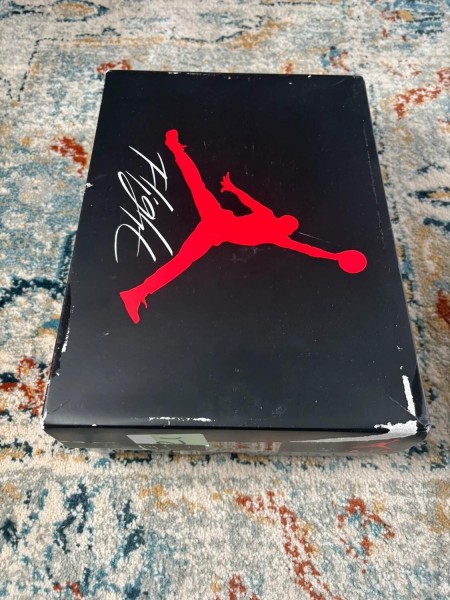 Air Jordan 4 Frozen