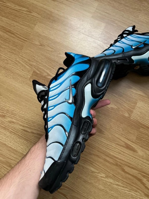 Nike air max plus gradient bleu 2