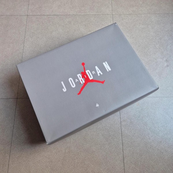 Jordan 9 "Cool Grey"