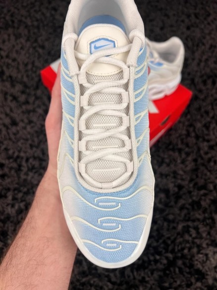 Nike Air Max Plus Tn bleu blanc - taille 39 eu