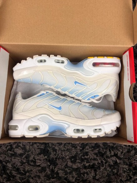 Nike Air Max Plus Tn bleu blanc - taille 39 eu