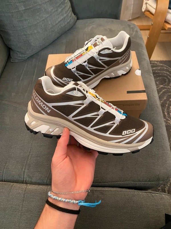 Salomon Earth brown/walnut/ftw silver