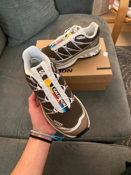 Salomon Earth brown/walnut/ftw silver