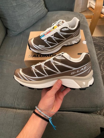 Salomon Earth brown/walnut/ftw silver