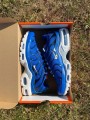 Nike Air Max Plus