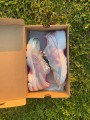 Asics Gel 1130