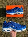 Nike Air Max Plus