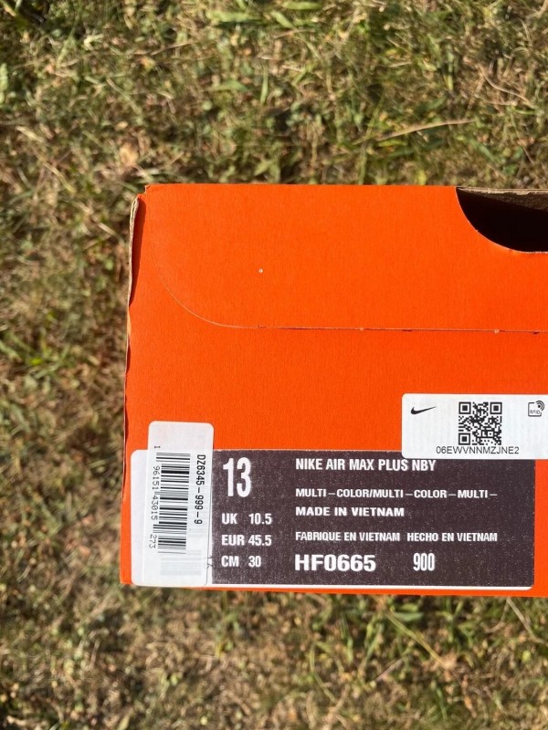 Nike Air Max Plus 2