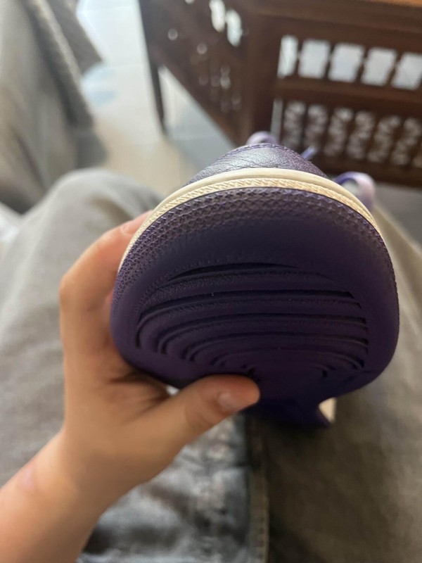 Nike Air jordan 1 high court purple 2