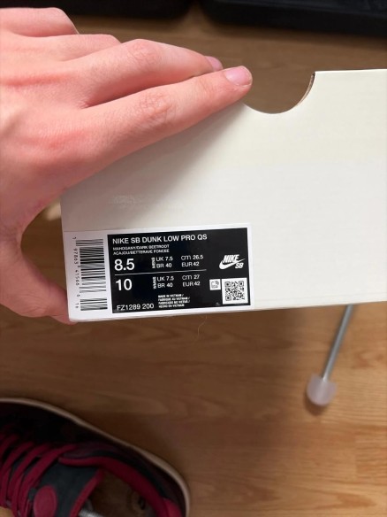 Nike dunk sb riot skateshop
