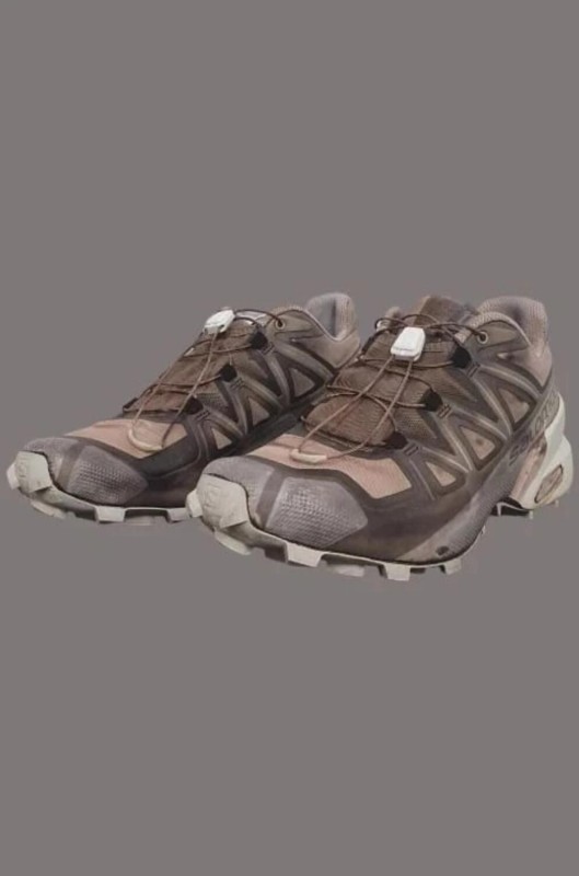 Salomon Speedcross Boris Bidjan Saberi taille 41 1/3 2